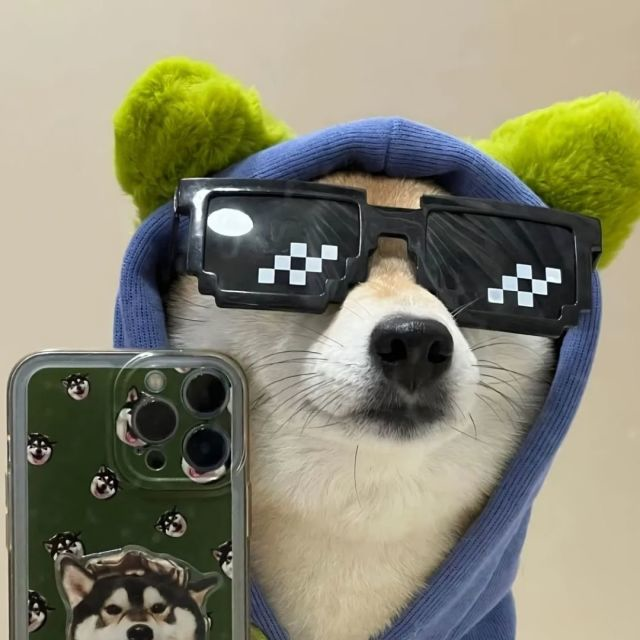 头像